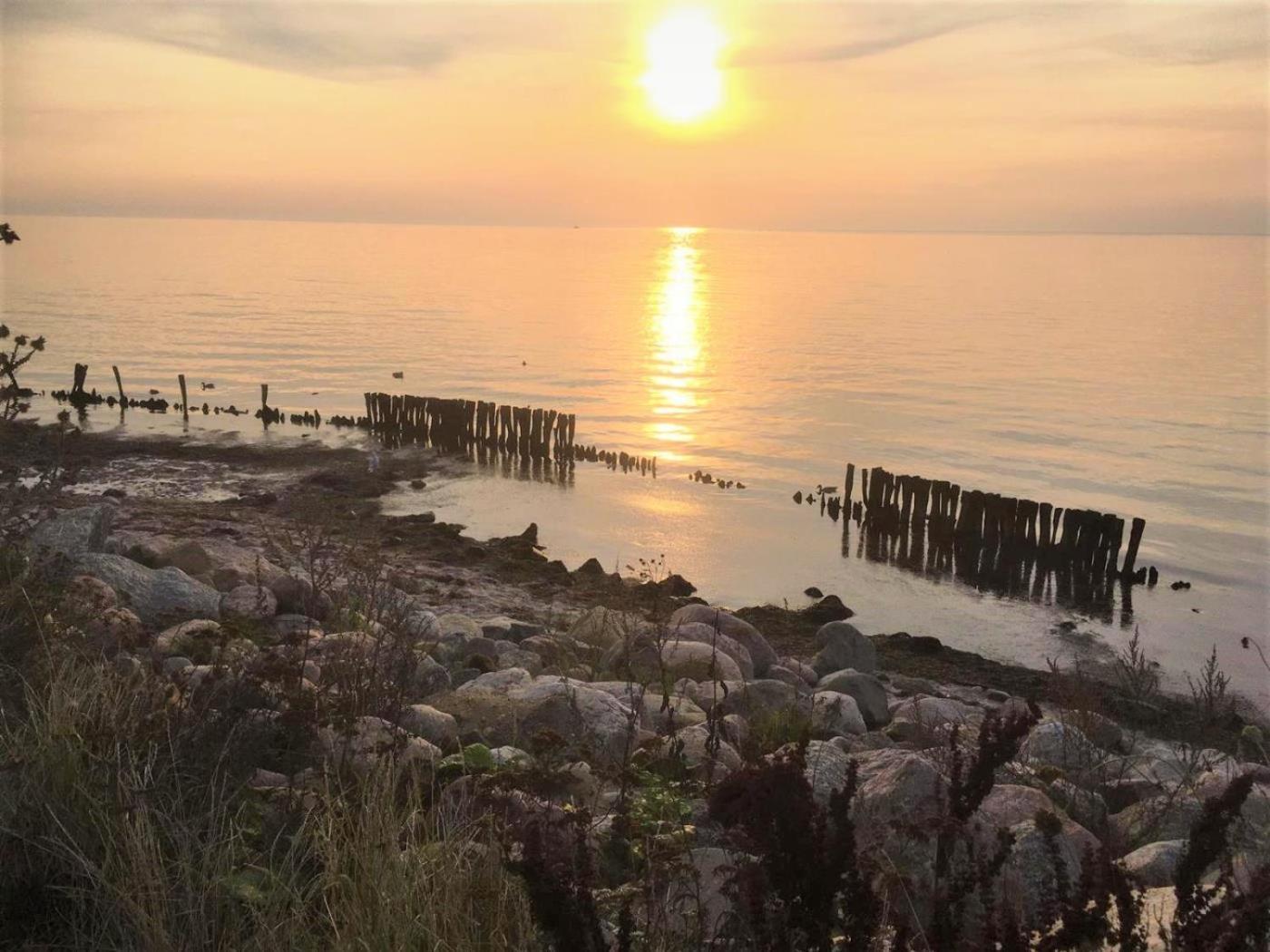 Dahmer Strand 18 Muschelhus ภายนอก รูปภาพ